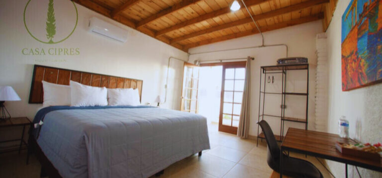 09f88970 f59b 4c29 a890 d0f8e9031f0c 768x359