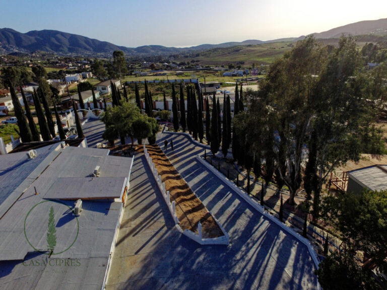 0c8bf88f c7e9 4e4b 884f 4563dc2ea2ac 768x576