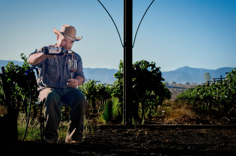 Sip & Savor: The Ultimate Wine Tour in Mexico’s Top Vineyards Sip & Savor: The Ultimate Wine Tour in Mexico’s Top Vineyards