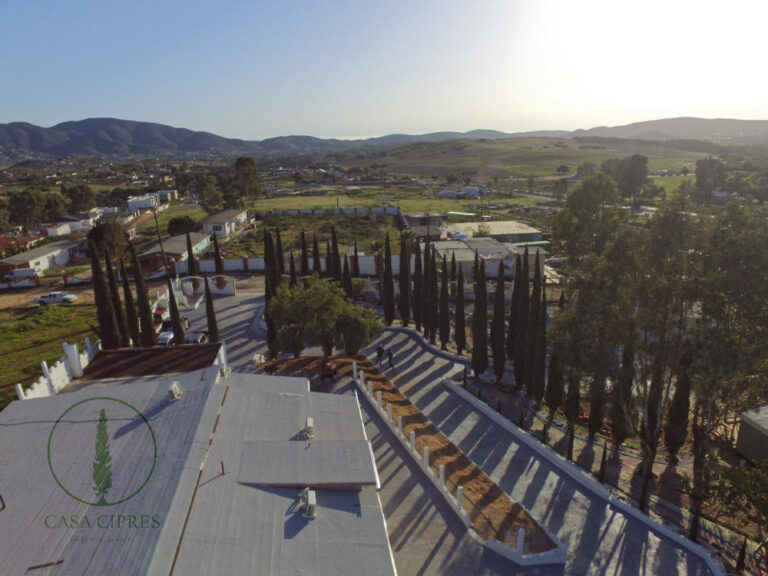 9a02bf83 00eb 466a a547 f5132b2ee451 768x576