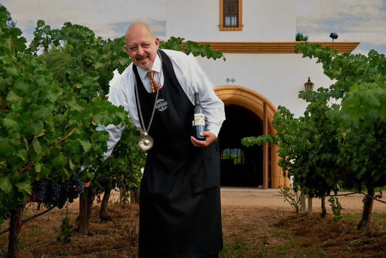 Exclusive Valle de Guadalupe Wine Tastings – A Must-Do Experience Exclusive Valle de Guadalupe Wine Tastings – A Must-Do Experience