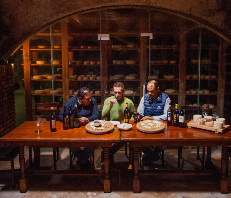 Personalized Wine Tours in Valle de Guadalupe – Private & VIP Experiences Personalized Wine Tours in Valle de Guadalupe – Private & VIP Experiences