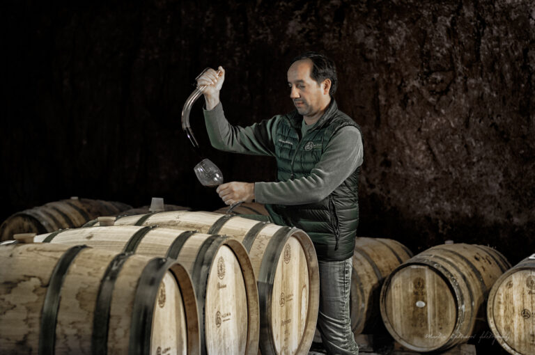 Your Guide to the Best Wine Tasting Experiences in Baja California Your Guide to the Best Wine Tasting Experiences in Baja California