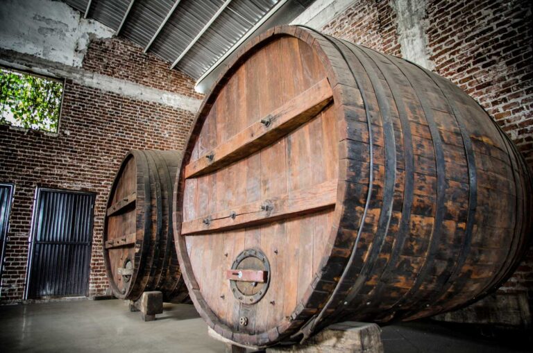 Luxury SUV Wine Tours – Enjoy a Comfortable Journey Through Mexico’s Wine Country Luxury SUV Wine Tours – Enjoy a Comfortable Journey Through Mexico’s Wine Country