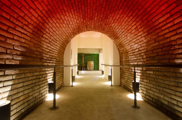 The Most Romantic Wine Tours in Valle de Guadalupe – Perfect for Couples The Most Romantic Wine Tours in Valle de Guadalupe – Perfect for Couples