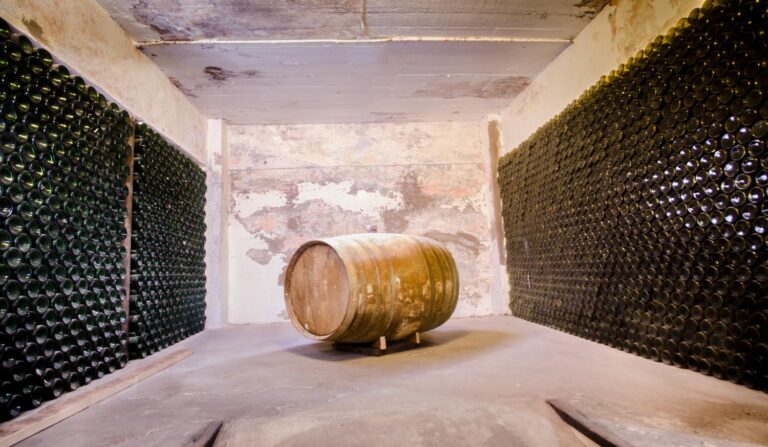 Private Wine Tours in Mexico – Experience the Best of Baja’s Vineyards Private Wine Tours in Mexico – Experience the Best of Baja’s Vineyards