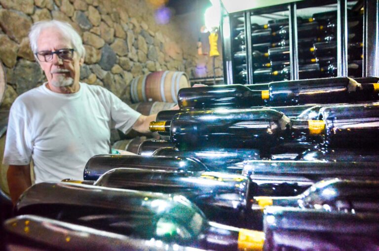 Corporate & Business Wine Retreats in Baja California – Team Building with Style Corporate & Business Wine Retreats in Baja California – Team Building with Style