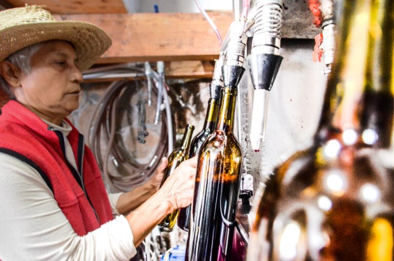 Tijuana to Valle de Guadalupe – Premium Wine Tour Packages Available Tijuana to Valle de Guadalupe – Premium Wine Tour Packages Available