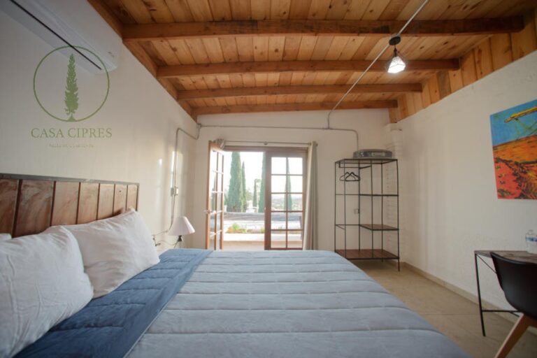 thumbnail ab3fddf1 e7ac 4c58 85df 6a3e742030d2 768x512