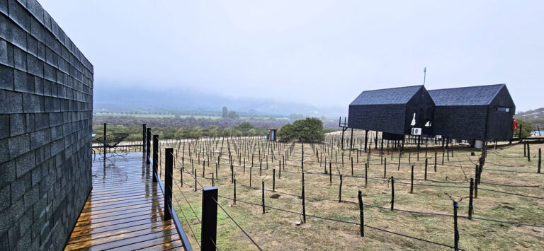 20250314 181905 768x355