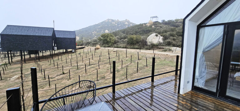 20250314 182205 768x355