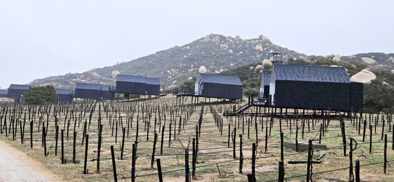 20250314 182816 768x355