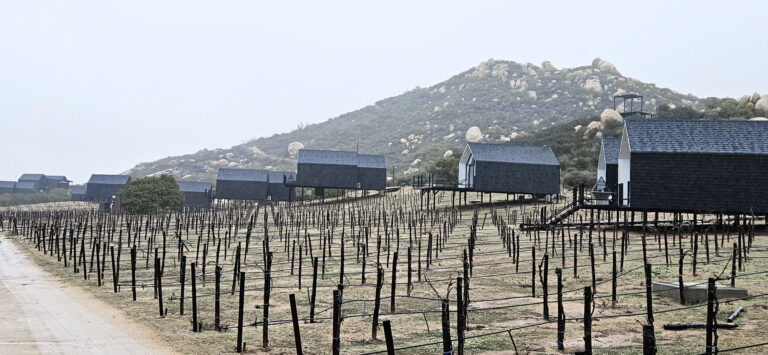 20250314 182832 768x355