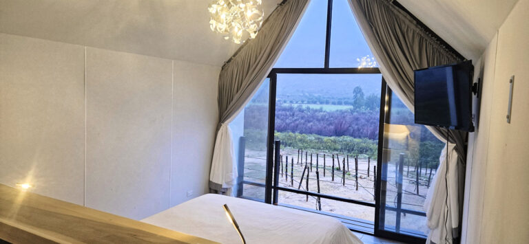 20250314 183313 768x355