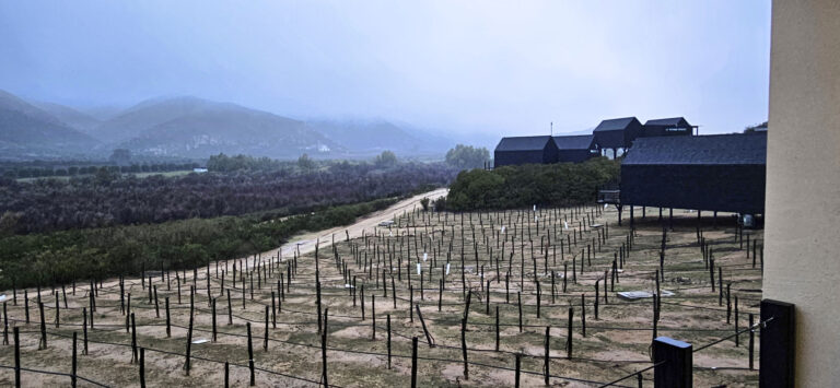 20250314 183501 768x355