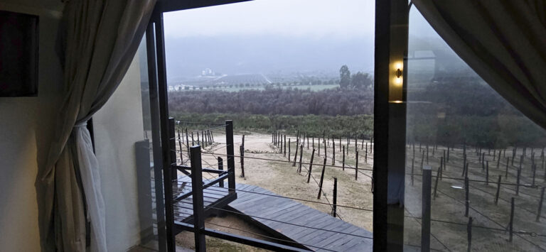 20250314 183605 768x355