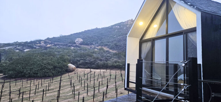 20250314 184021 768x355