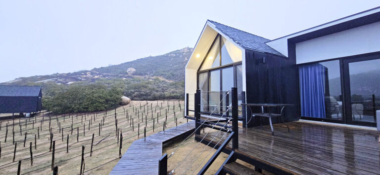 20250314 184029 768x355