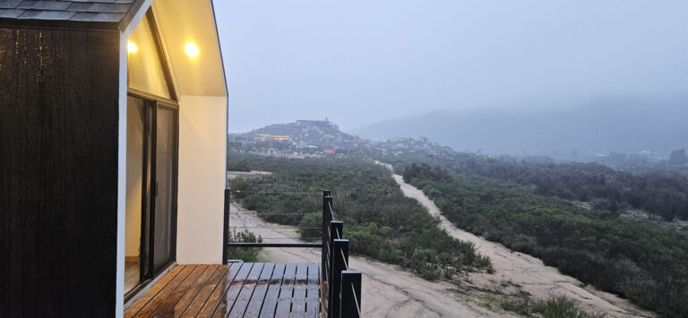 20250314 184934 768x355