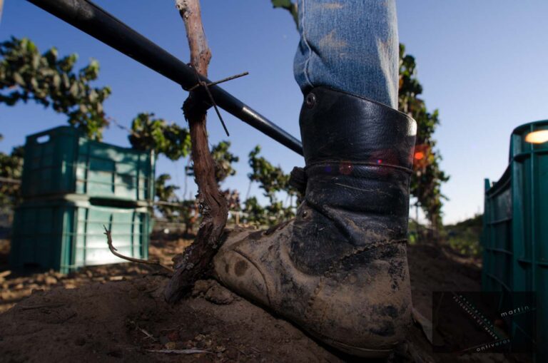 Martin Ontiveros Photography 125 768x509