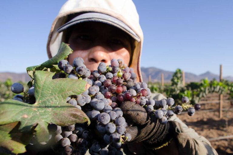 Martin Ontiveros Photography 129 768x509