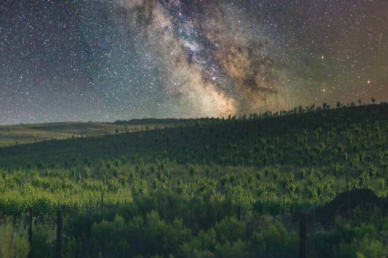 Martin Ontiveros Photography 259 768x512