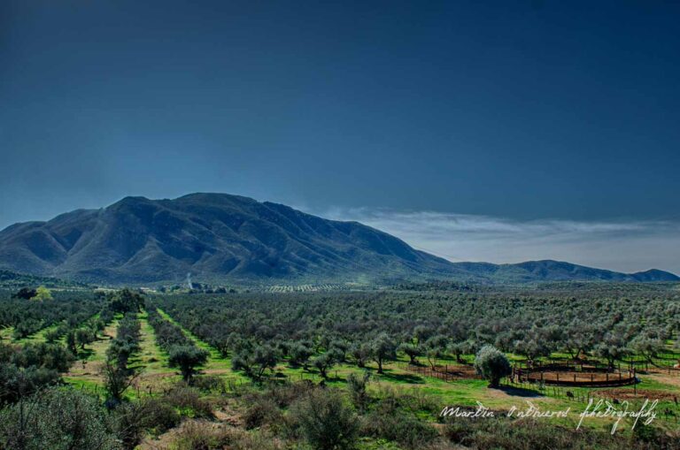 Martin Ontiveros Photography 332 768x509