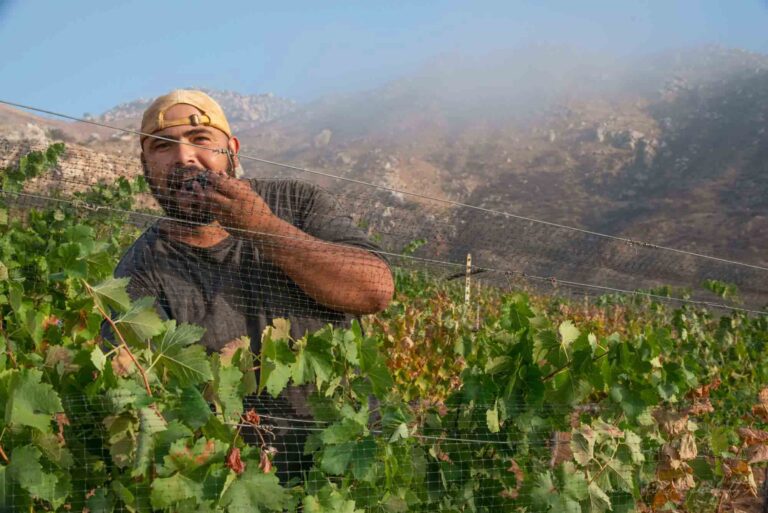 Martin Ontiveros Photography 668 768x513