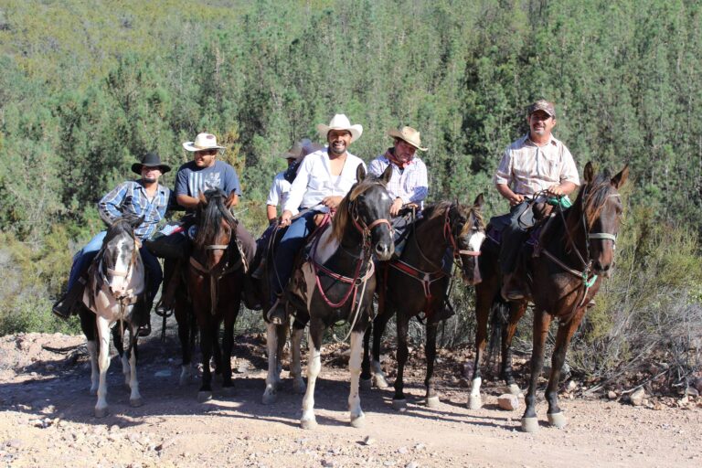 desert trails457 768x512