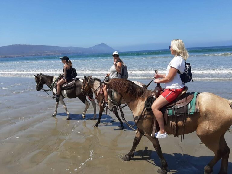 desert trails55 768x576