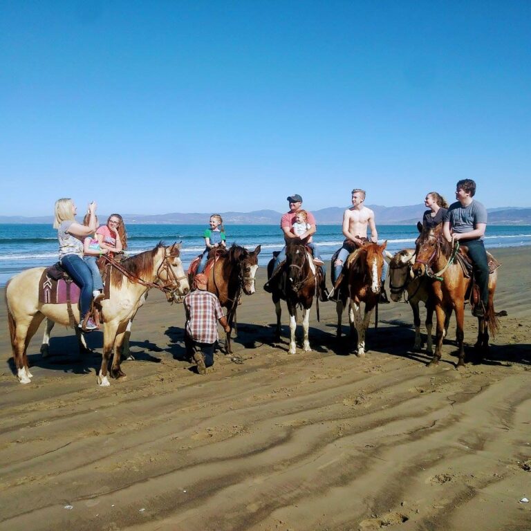 desert trails5999 768x768