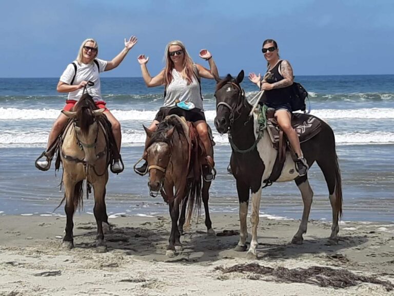 desert trails98 768x576