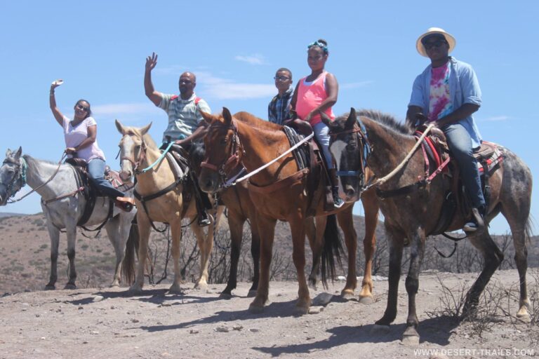 desert trails99887 768x512