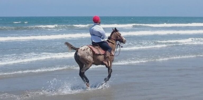 horseback riding2 768x380