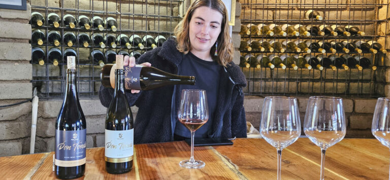 20250327 112929FINAL 768x355