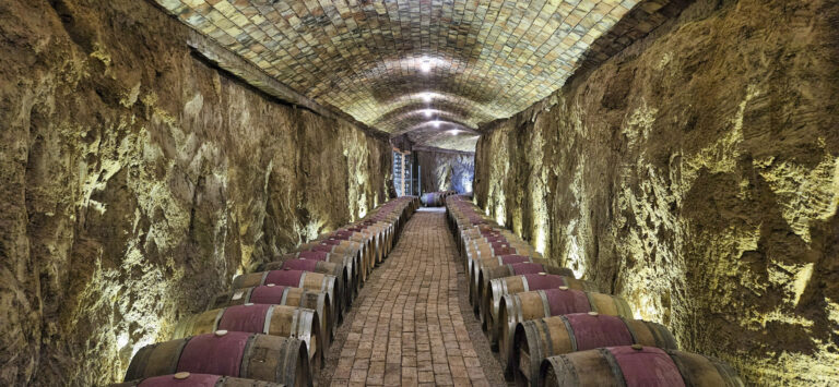 20250327 113241FINAL 768x355