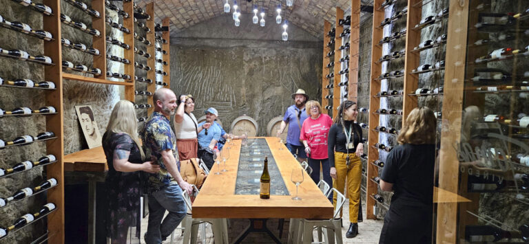 20250327 114418FINAL 768x355