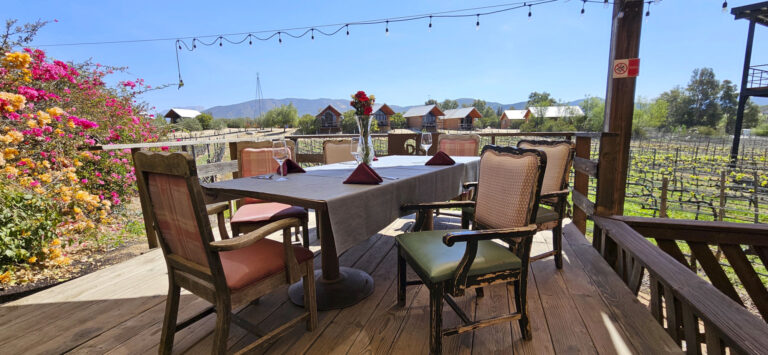 20250327 114708FINAL 768x355