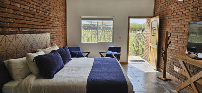 20250401 101255 1 768x355