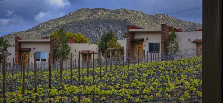 20250401 103103 768x355