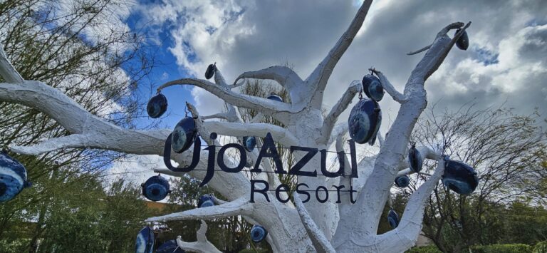 20250401 103232 1 1 768x355