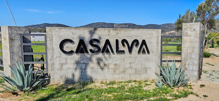 20250413 095606 768x355