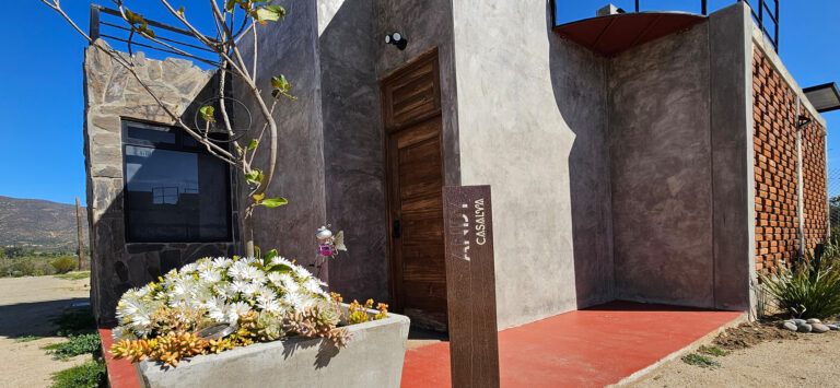 20250413 095942 768x355