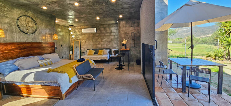 20250413 100352 768x355