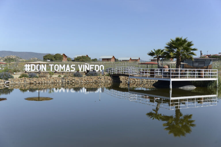 TIN 5178FINAL 768x513