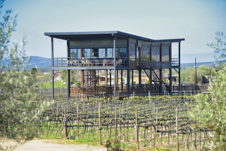 TIN 5182FINAL 1 768x513