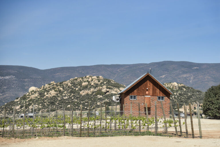 TIN 5222FINAL 768x513