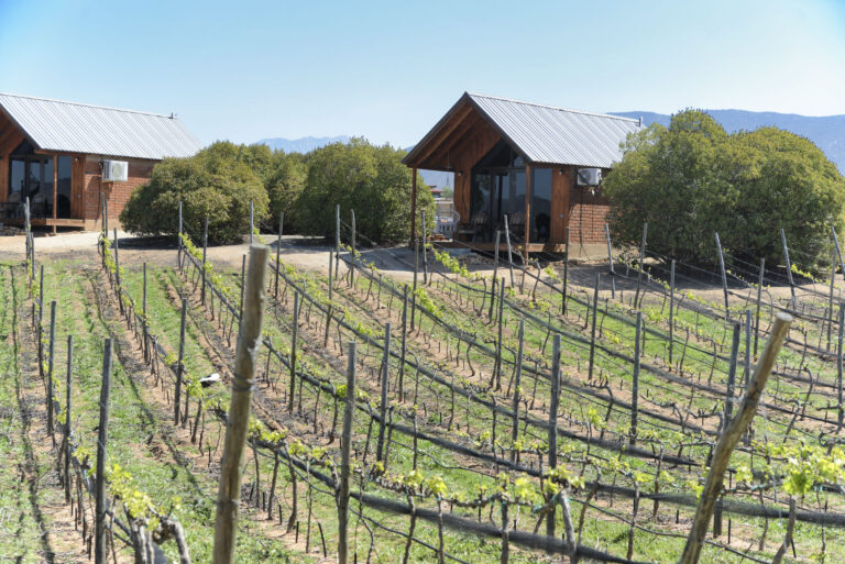 TIN 5308FINAL 768x513