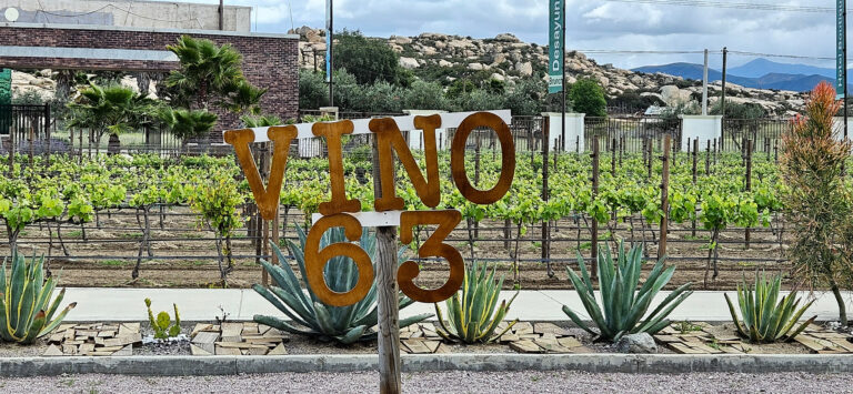 20250418 113857 1 768x355