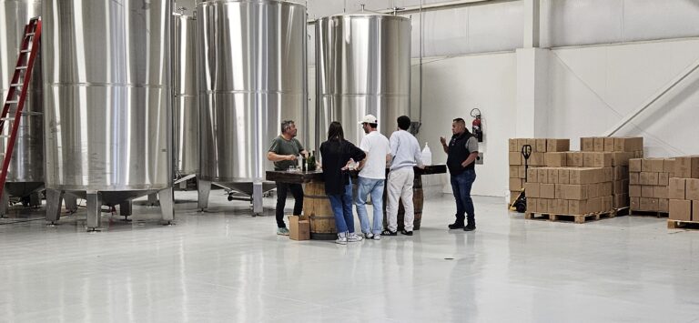 20250423 1105070 768x355